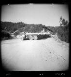 Holga - 15